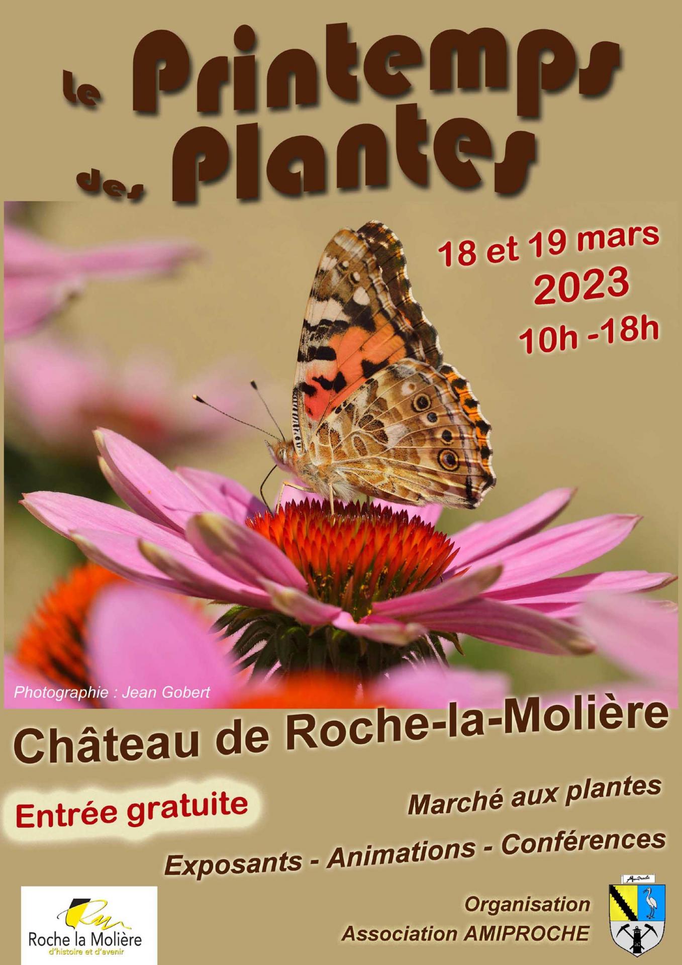 Affiche 2023 p plantes web